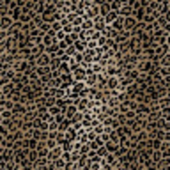missbahijyshops
